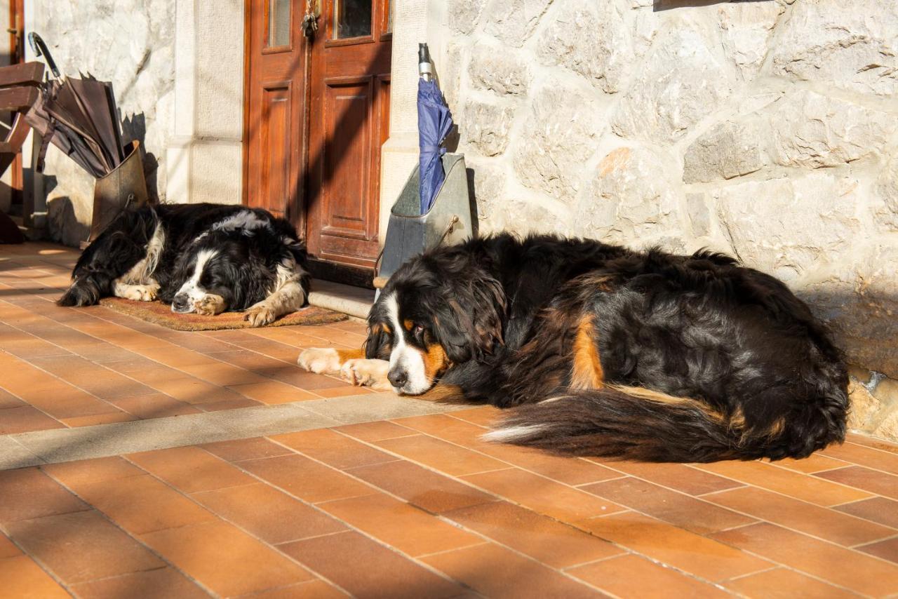 Tourist Farm Skerlj Villa Dutovlje Bagian luar foto